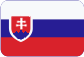 Kari sítě Slovensky